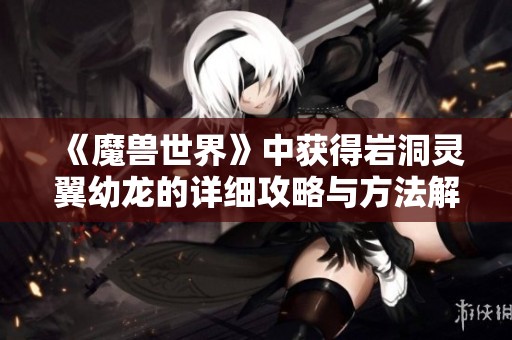 《魔兽世界》中获得岩洞灵翼幼龙的详细攻略与方法解析》