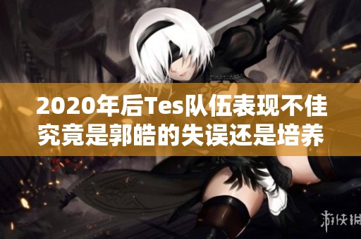 2020年后Tes队伍表现不佳究竟是郭皓的失误还是培养机制的问题