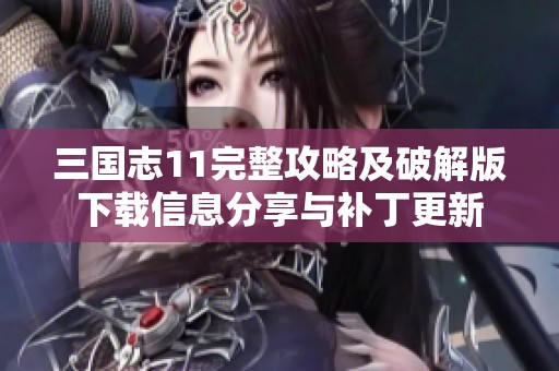 三国志11完整攻略及破解版下载信息分享与补丁更新