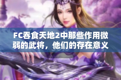 FC吞食天地2中那些作用微弱的武将，他们的存在意义何在？