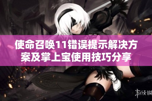 使命召唤11错误提示解决方案及掌上宝使用技巧分享