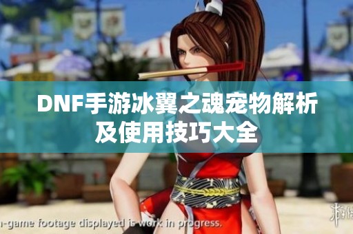 DNF手游冰翼之魂宠物解析及使用技巧大全