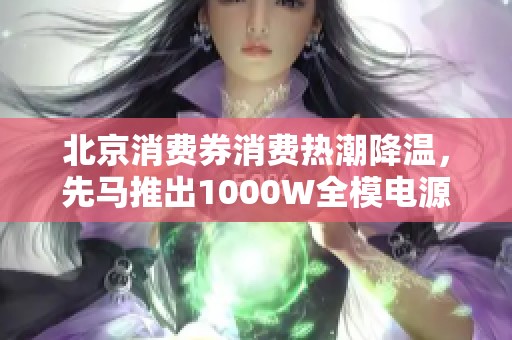 北京消费券消费热潮降温，先马推出1000W全模电源新品