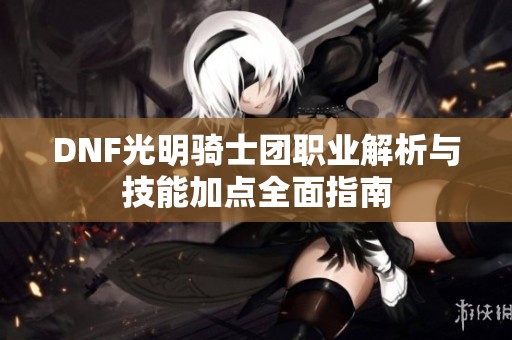 DNF光明骑士团职业解析与技能加点全面指南