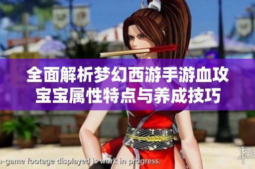 全面解析梦幻西游手游血攻宝宝属性特点与养成技巧