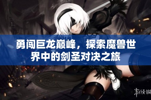 勇闯巨龙巅峰，探索魔兽世界中的剑圣对决之旅