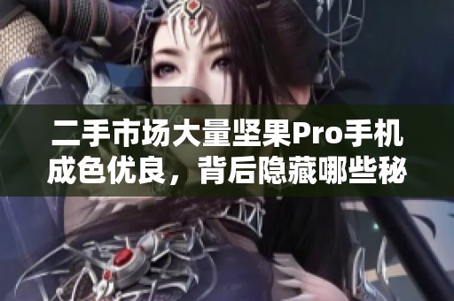 二手市场大量坚果Pro手机成色优良，背后隐藏哪些秘密？