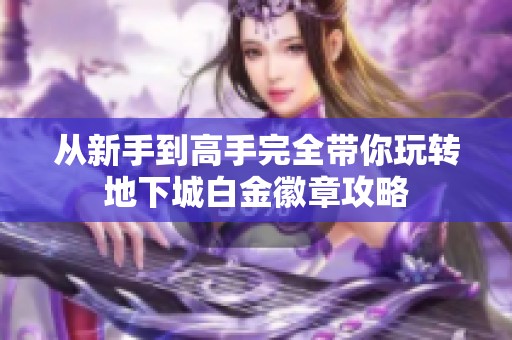 从新手到高手完全带你玩转地下城白金徽章攻略
