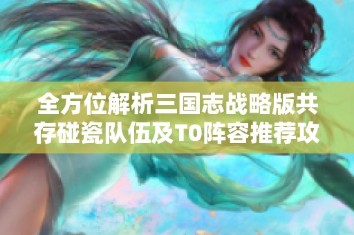 全方位解析三国志战略版共存碰瓷队伍及T0阵容推荐攻略