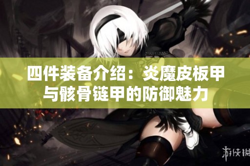 四件装备介绍：炎魔皮板甲与骸骨链甲的防御魅力