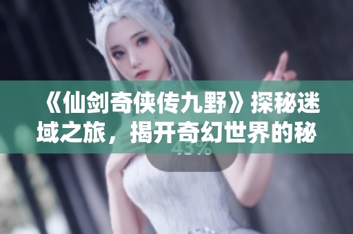 《仙剑奇侠传九野》探秘迷域之旅，揭开奇幻世界的秘密与挑战