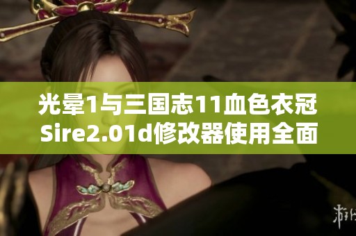 光晕1与三国志11血色衣冠Sire2.01d修改器使用全面指南