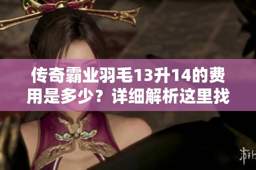 传奇霸业羽毛13升14的费用是多少？详细解析这里找
