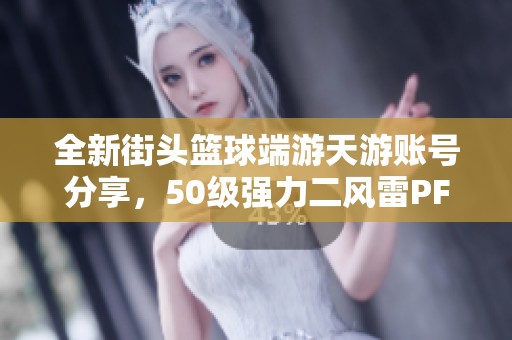 全新街头篮球端游天游账号分享，50级强力二风雷PF能力解析