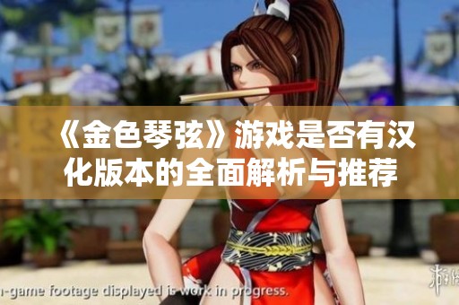 《金色琴弦》游戏是否有汉化版本的全面解析与推荐
