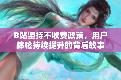 B站坚持不收费政策，用户体验持续提升的背后故事