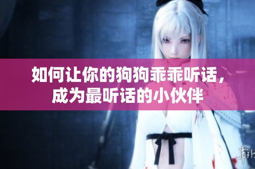 如何让你的狗狗乖乖听话，成为最听话的小伙伴