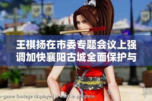 王祺扬在市委专题会议上强调加快襄阳古城全面保护与合理利用进程