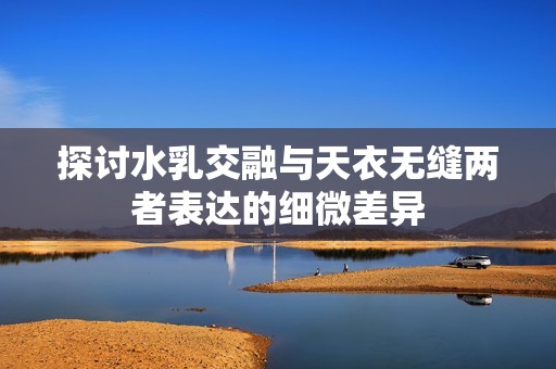 探讨水乳交融与天衣无缝两者表达的细微差异
