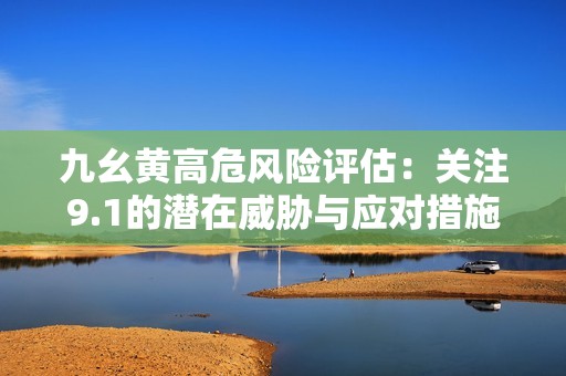 九幺黄高危风险评估：关注9.1的潜在威胁与应对措施
