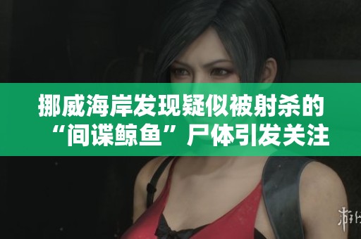 挪威海岸发现疑似被射杀的“间谍鲸鱼”尸体引发关注
