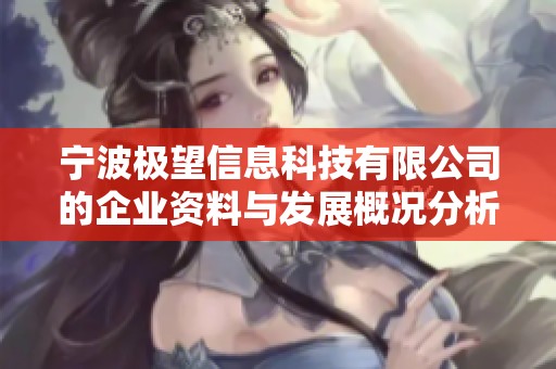 宁波极望信息科技有限公司的企业资料与发展概况分析