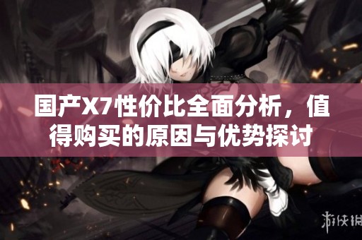 国产X7性价比全面分析，值得购买的原因与优势探讨