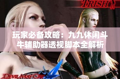 玩家必备攻略：九九休闲斗牛辅助器透视脚本全解析