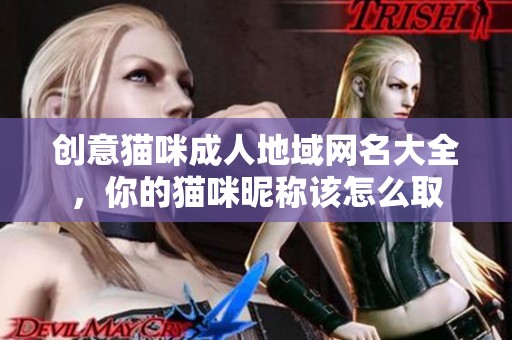 创意猫咪成人地域网名大全，你的猫咪昵称该怎么取