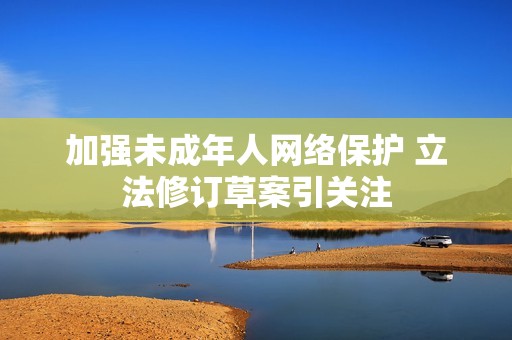 加强未成年人网络保护 立法修订草案引关注