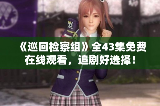 《巡回检察组》全43集免费在线观看，追剧好选择！