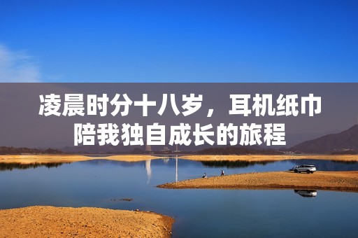 凌晨时分十八岁，耳机纸巾陪我独自成长的旅程