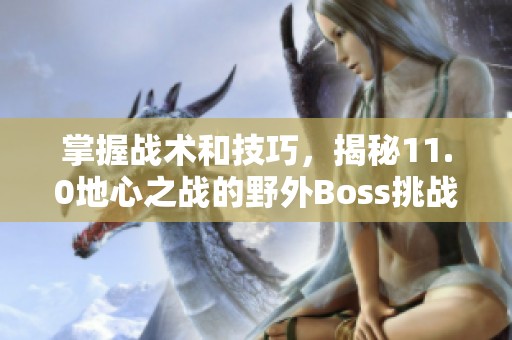 掌握战术和技巧，揭秘11.0地心之战的野外Boss挑战策略解析