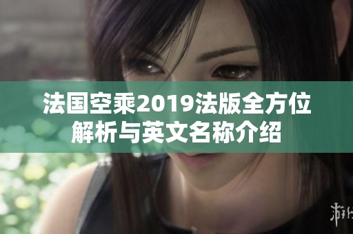 法国空乘2019法版全方位解析与英文名称介绍