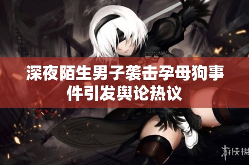 深夜陌生男子袭击孕母狗事件引发舆论热议