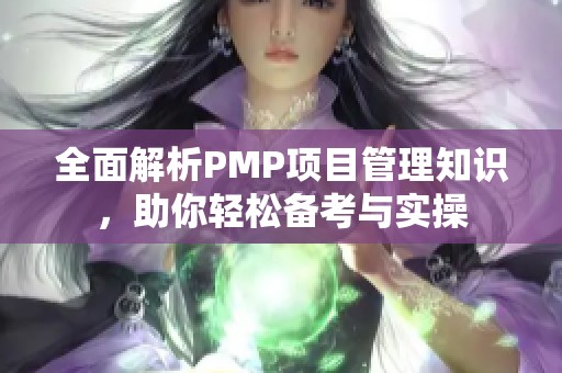 全面解析PMP项目管理知识，助你轻松备考与实操