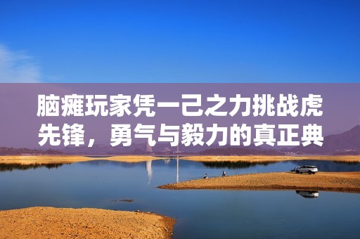 脑瘫玩家凭一己之力挑战虎先锋，勇气与毅力的真正典范