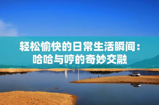 轻松愉快的日常生活瞬间：哈哈与哼的奇妙交融
