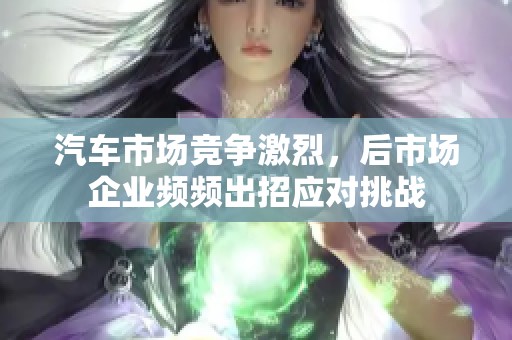 汽车市场竞争激烈，后市场企业频频出招应对挑战