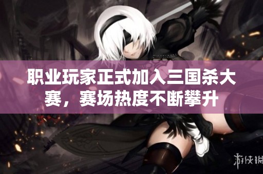 职业玩家正式加入三国杀大赛，赛场热度不断攀升