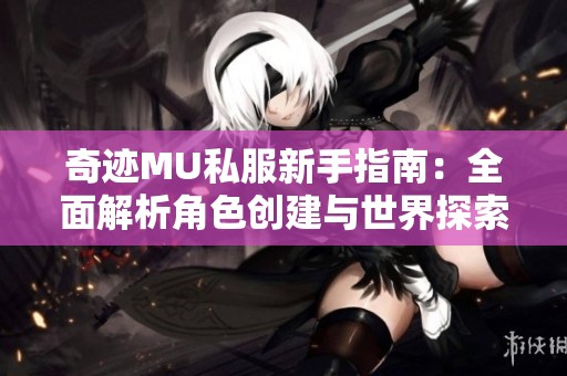 奇迹MU私服新手指南：全面解析角色创建与世界探索技巧