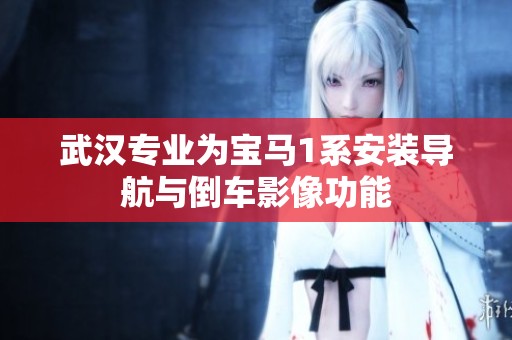 武汉专业为宝马1系安装导航与倒车影像功能