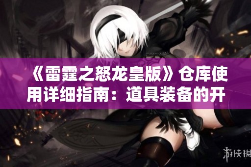 《雷霆之怒龙皇版》仓库使用详细指南：道具装备的开启与重写技巧