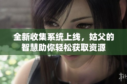 全新收集系统上线，姑父的智慧助你轻松获取资源