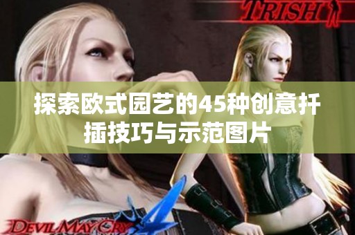 探索欧式园艺的45种创意扦插技巧与示范图片