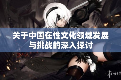 关于中国在性文化领域发展与挑战的深入探讨