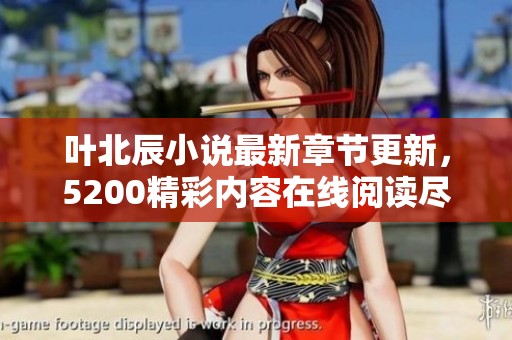 叶北辰小说最新章节更新，5200精彩内容在线阅读尽在平凡文学