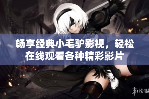 畅享经典小毛驴影视，轻松在线观看各种精彩影片
