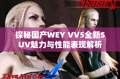探秘国产WEY VV5全新SUV魅力与性能表现解析