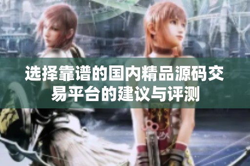 选择靠谱的国内精品源码交易平台的建议与评测